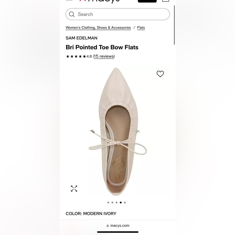 Sam Edelman Bri Pointed Toe Flats